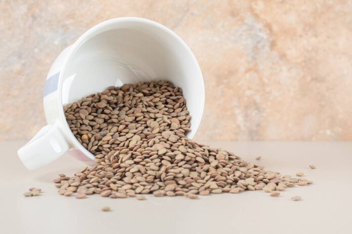 lentilha:-veja-vantagens-de-incluir-alimento-rico-em-proteina-na-dieta