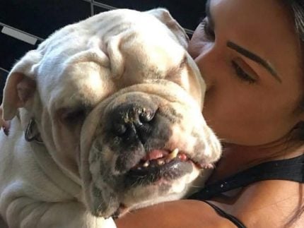 morre-belletty,-cadela-de-gracyanne-barbosa,-enquanto-musa-esta-confinada-no-bbb