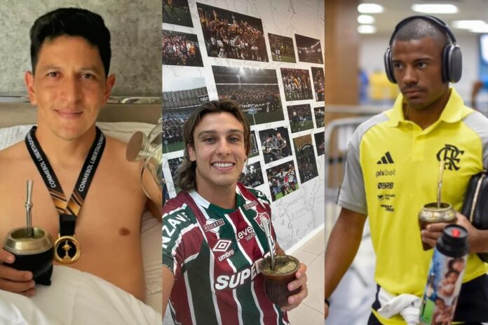 conheca-beneficios-de-erva-usada-por-atletas-de-flamengo-e-fluminense
