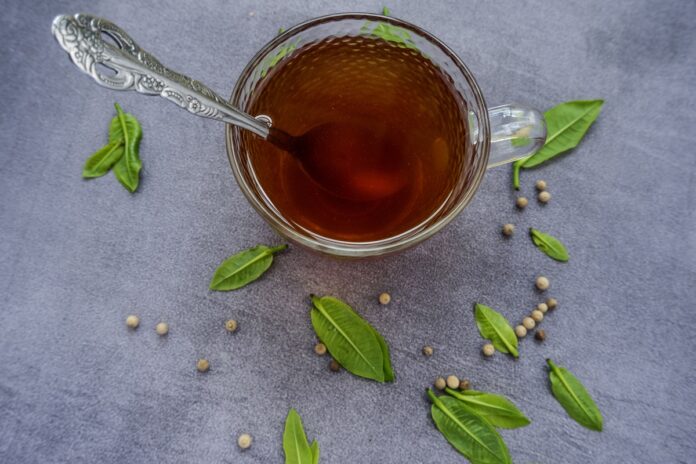 cha-de-folha-de-tamarindo:-veja-os-beneficios-da-bebida-antioxidante
