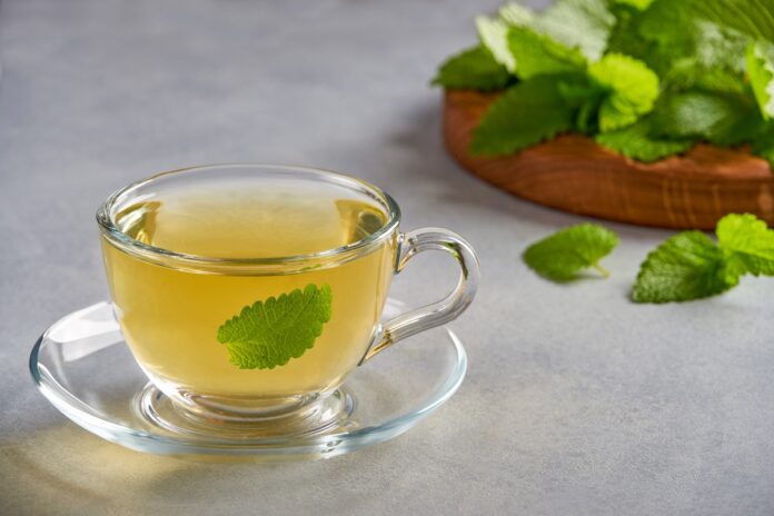 cha-de-menta-e-de-hortela-tem-efeitos-diferentes.-aprenda-como-usar
