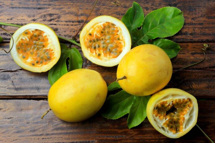 alguma-fruta-pode-ter-tanta-proteina-quanto-o-ovo?-entenda