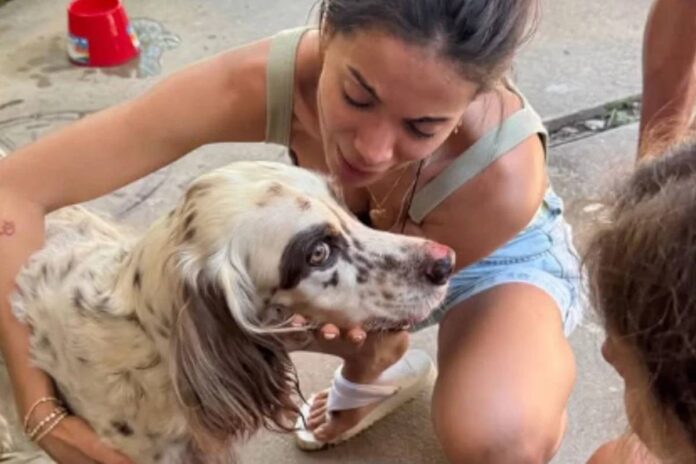 anitta-vai-ao-veterinario-de-pijama-apos-susto-com-pet:-“maluquice”