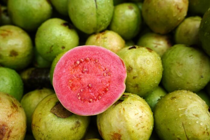 goiaba:-veja-6-beneficios-e-se-a-fruta-pode-ser-consumida-diariamente