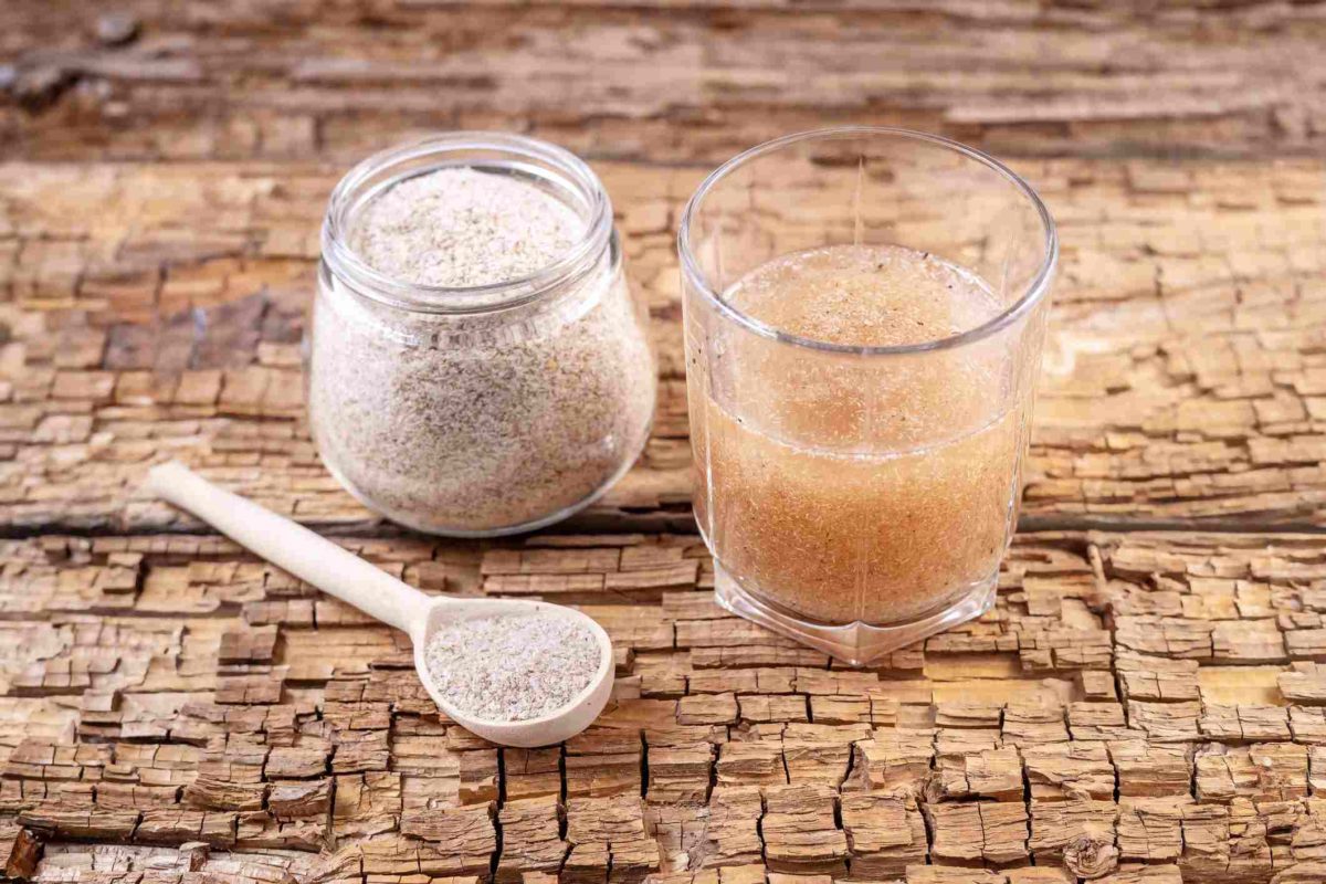 psyllium:-entenda-como-a-semente-ajuda-a-perder-gordura-e-emagrecer
