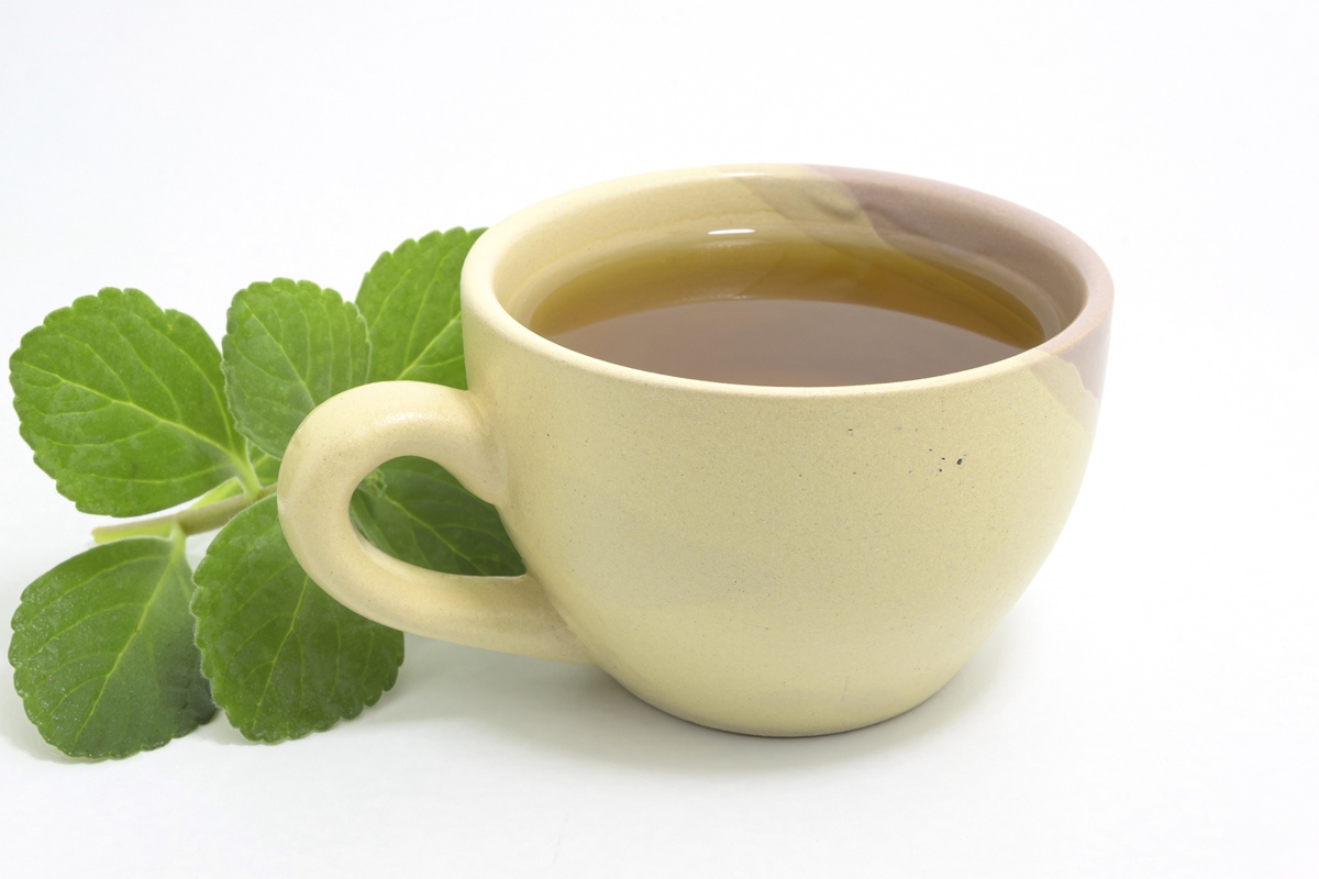 cha-de-boldo:-saiba-beneficios-e-efeitos-colaterais-da-bebida