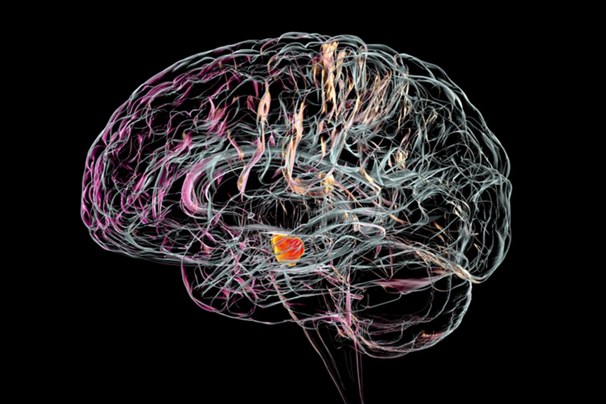 “capa-de-invisibilidade”-em-neuronios-corrige-sintomas-do-parkinson