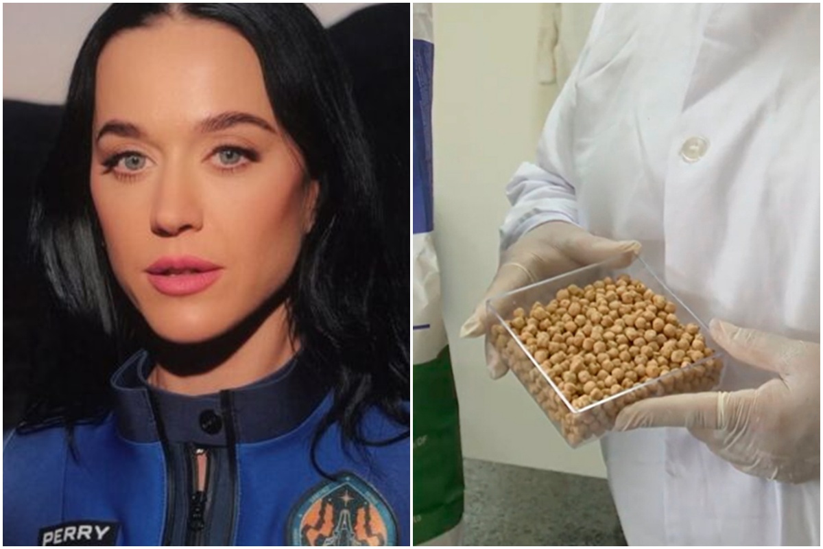 katy-perry-foi-ao-espaco-com-batata-doce-e-grao-de-bico-brasileiros