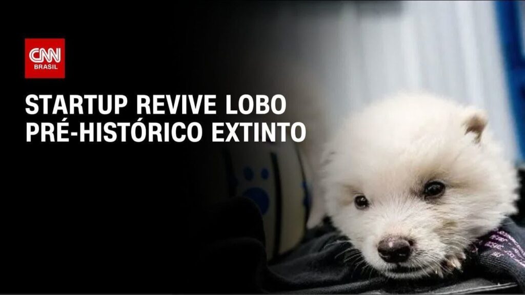 sinpatinhas:-lula-lanca-rg-para-caes-e-gatos-nesta-quinta