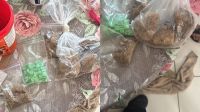pm-estoura-“casas-bomba”-usadas-para-armazenar-drogas-na-zona-norte-de-sp