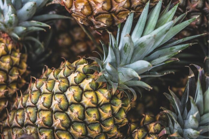 confira-4-frutas-que-ajudam-a-ganhar-massa-muscular-mais-rapido