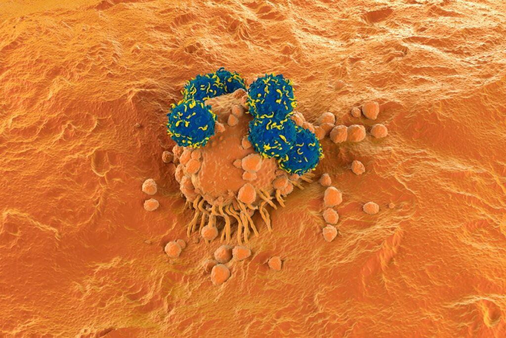terapia-car-t-e-segura-e-nao-aumenta-risco-de-cancer-a-longo-prazo