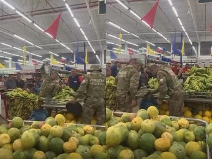 surpresa-inusitada:-filhote-de-cobra-coral-aparece-entre-frutas-em-mercado-e-e-capturado