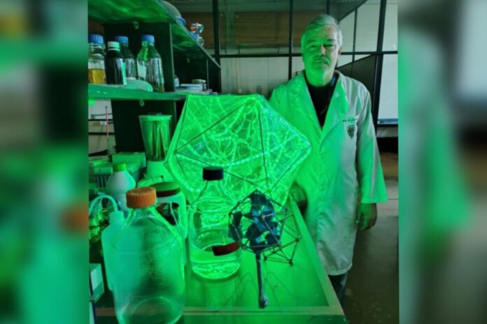 pesquisa-brasileira-encontra-62-virus-uteis-no-controle-de-bacterias