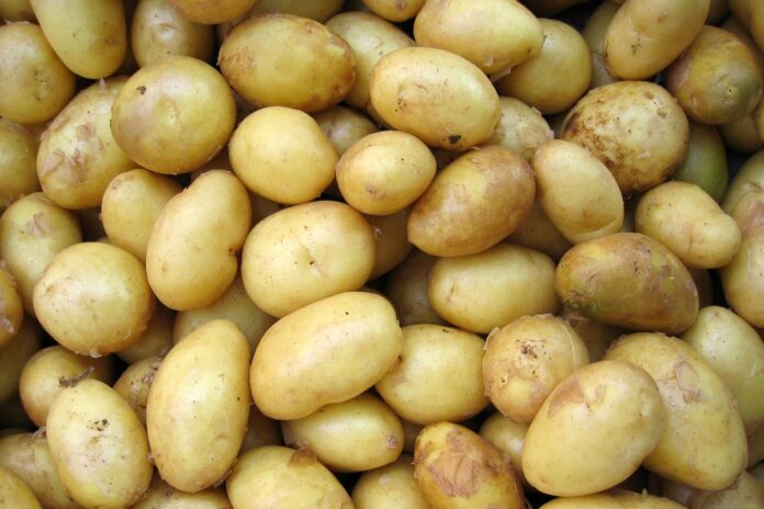 confira-6-beneficios-da-batata-para-a-saude