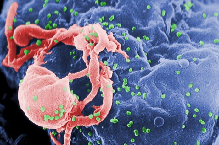 transmissao-pela-comida?-infectologista-rebate-mitos-sobre-o-hiv