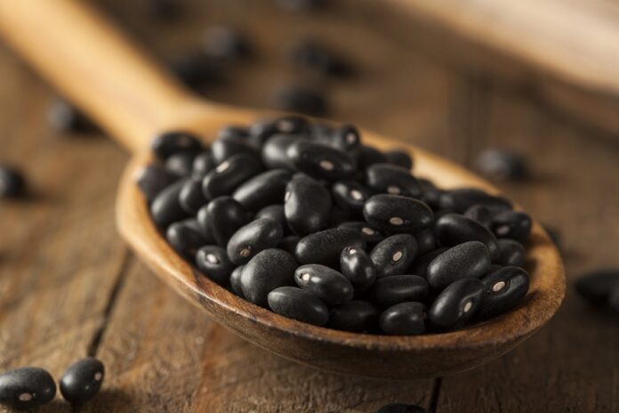 comer-feijao-melhora-a-saude-metabolica-e-do-coracao,-diz-estudo