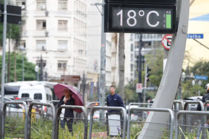 veja-alimentos-que-ajudam-a-aumentar-a-imunidade-durante-o-frio