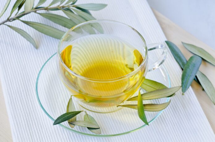 5-receitas-de-cha-de-oliveira-para-combater-a-gordura-abdominal