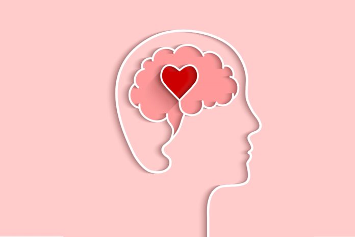 e-o-amor!-neurocientista-explica-como-estar-apaixonado-afeta-o-cerebro