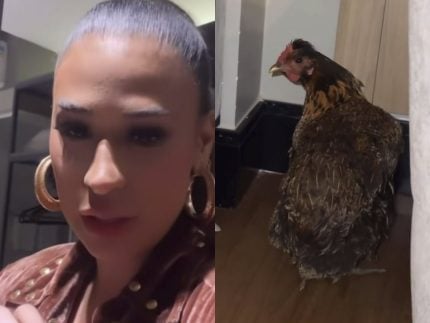 apos-ganhar-e-adotar-galinha-em-show,-simone-mendes-leva-a-ave-para-o-hotel