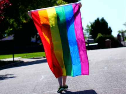 feira-cultural-e-caminhada-estao-na-agenda-que-antecede-a-parada-lgbt+-de-sp