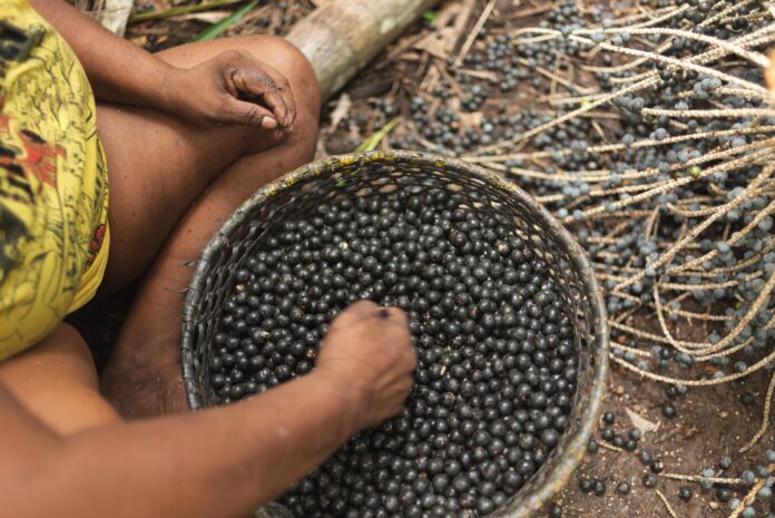 cnn-na-cop30:-acai-movimenta-economia-local-de-belem-–-pa