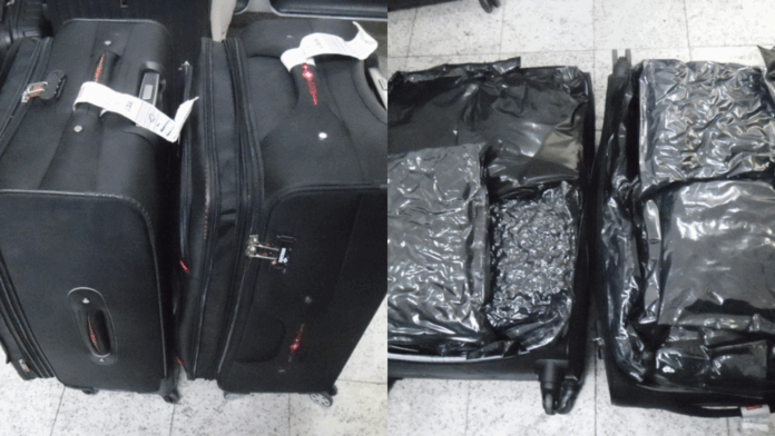 pf-prende-9-pessoas-por-trafico-de-drogas-no-aeroporto-de-guarulhos