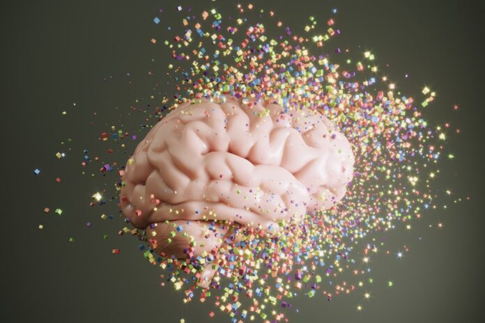 ganho-de-peso-durante-a-vida-pode-acelerar-envelhecimento-do-cerebro