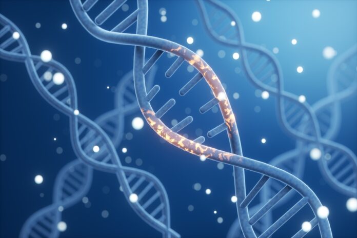 conheca-doenca-genetica-recem-descoberta-que-aumenta-o-risco-de-cancer