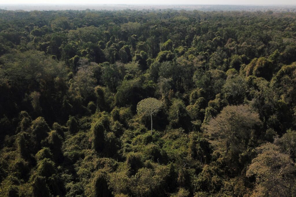 cop30:-governo-brasileiro-e-onu-detalham-iniciativas-eticas-sobre-mudancas