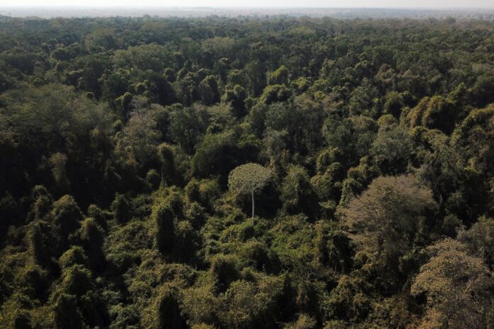 cop30:-governo-brasileiro-e-onu-detalham-iniciativas-eticas-sobre-mudancas
