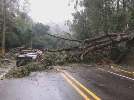 rs-registra-terceira-morte-por-causa-da-chuva,-confirma-defesa-civil