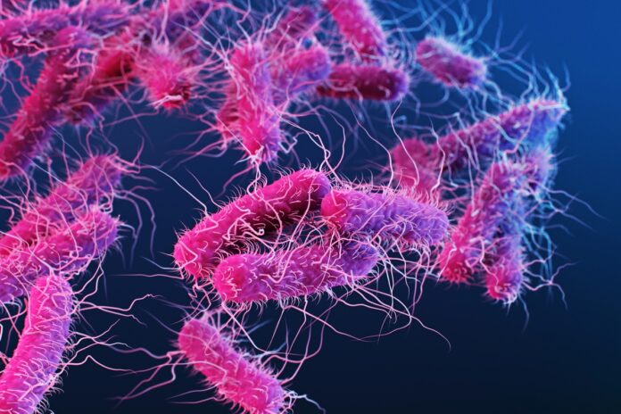 bacteria-modificada-transforma-plastico-em-analgesico.-entenda
