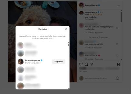 joao-guilherme-publica-foto-com-pet-de-sasha-e-bruna-marquezine-curte-post