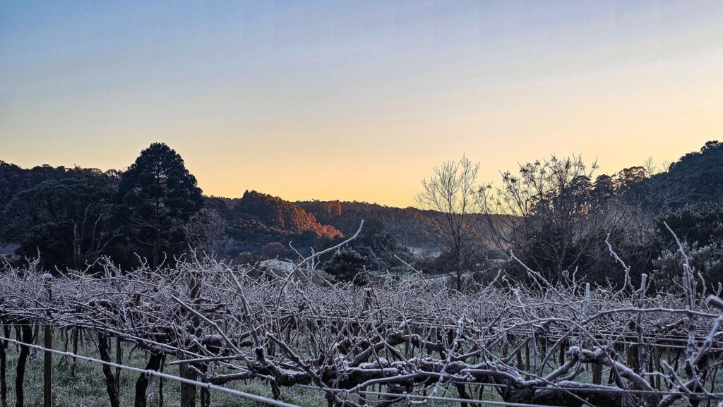 onda-de-frio:-mais-de-10-cidades-gauchas-registram-temperaturas-negativas