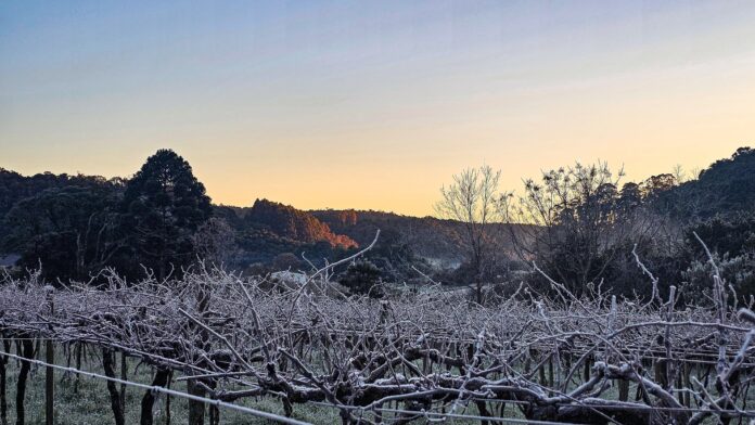 onda-de-frio:-mais-de-10-cidades-gauchas-registram-temperaturas-negativas