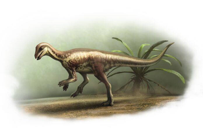 dinossauro-do-tamanho-de-um-cao-e-identificado-a-partir-de-fossil-raro
