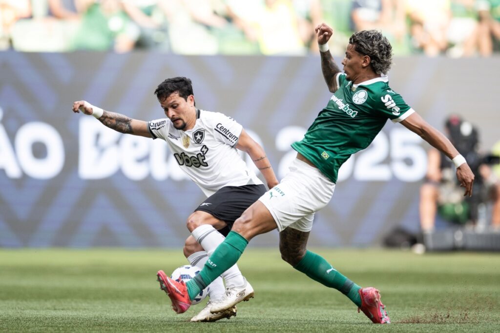 botafogo-tem-otimo-retrospecto-recente-contra-o-palmeiras.-confira