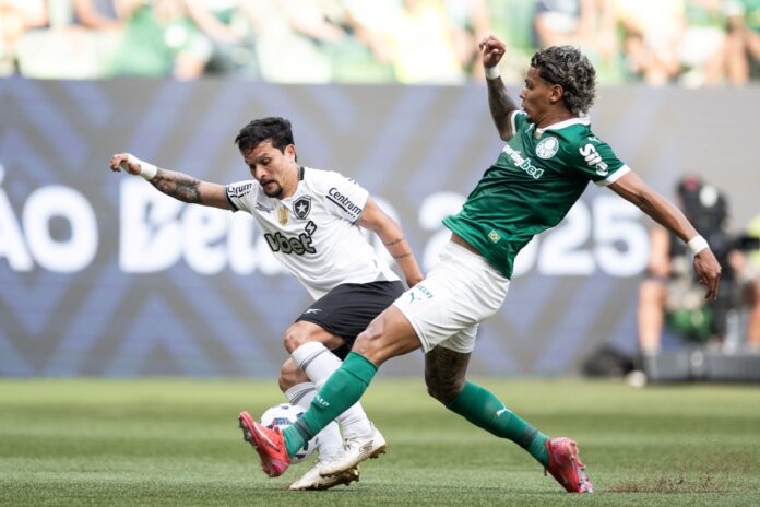 botafogo-tem-otimo-retrospecto-recente-contra-o-palmeiras.-confira