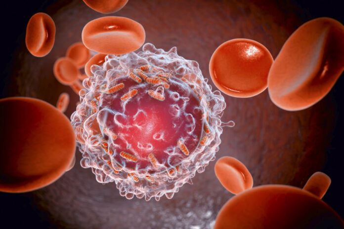 5-mitos-e-verdades-sobre-a-leucemia
