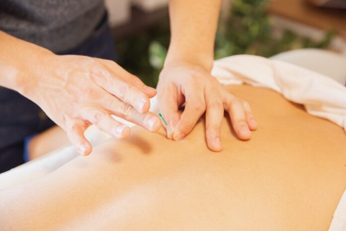 oms:-nova-diretriz-para-medicinas-tradicionais-tem-reflexos-no-brasil