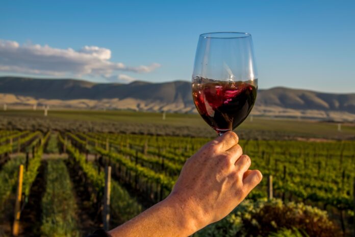tomar-vinho-todos-os-dias-e-seguro?-saiba-o-que-acontece-com-seu-corpo