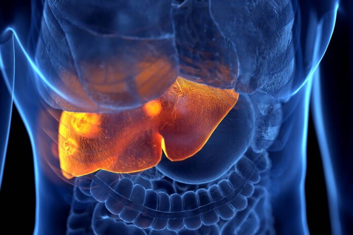 5-principais-tipos-de-hepatites-virais-e-como-preveni-las