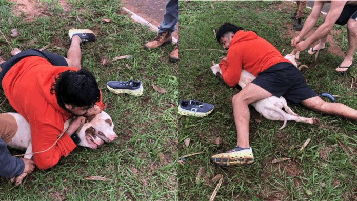 video:-lutador-de-muay-thai-imobiliza-dois-pitbulls-apos-ser-atacado-em-ms