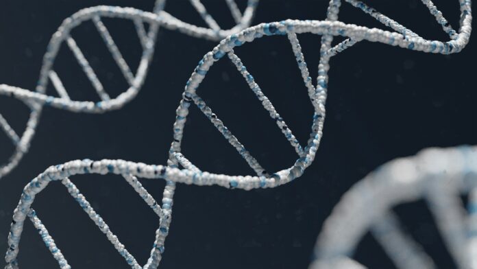 dna-e-o-tema-mais-cobrado-na-prova-de-biologia-da-fuvest