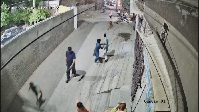 policia-prende-donos-de-leao-que-escapou-e-atacou-pessoas-no-paquistao