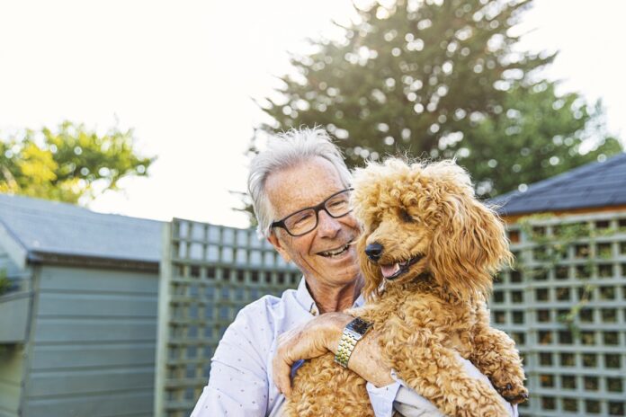 pets:-caes-e-gatos-podem-ajudar-a-frear-o-envelhecimento,-diz-estudo