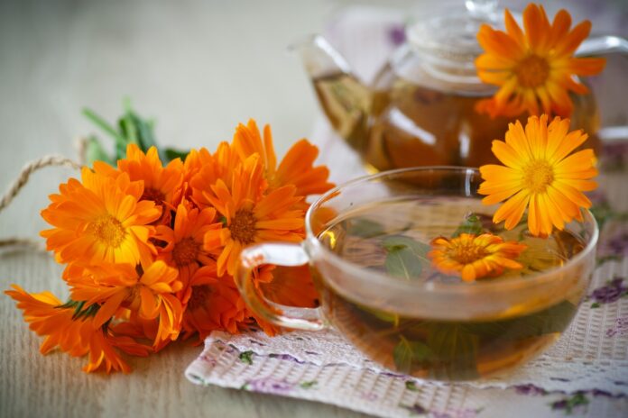 cha-anti-inflamatorio-melhora-a-digestao-e-tem-efeito-cicatrizante