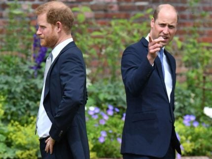 principe-william-acha-que-meghan-via-harry-como-trampolim-para-fama-e-fortuna,-diz-biografa